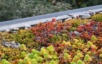 the cost of Kinghorn green roof installation