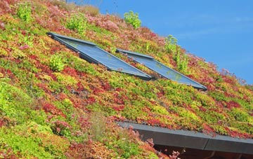 Kinghorn living roof systems
