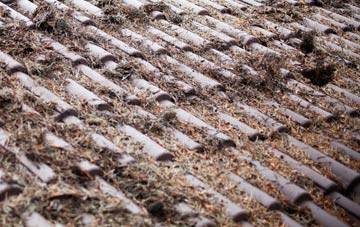 Kinghorn roof cleaning companies